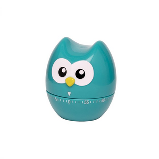 Hoot Owl Kitchen Timer