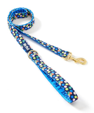 Balls & Bones Reversible Pet Leash