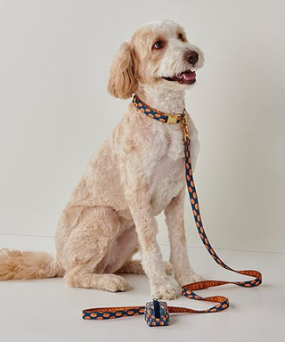 Fluffy Not Fat Reversible Pet Leash