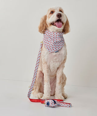 Places to Pee Reversible Pet Leash