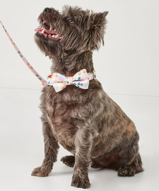 Part Time Therapist Pet Bow Tie
