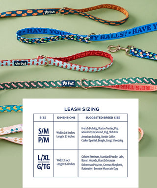 Part Time Therapist Reversible Pet Leash