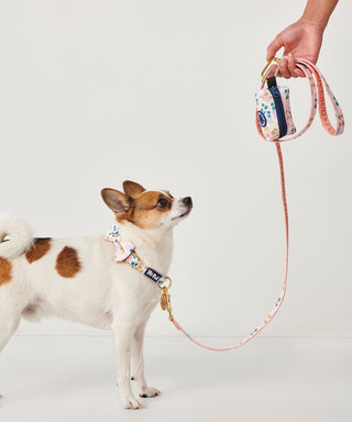 Part Time Therapist Reversible Pet Leash