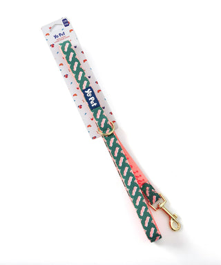 Treat Tester Reversible Pet Leash