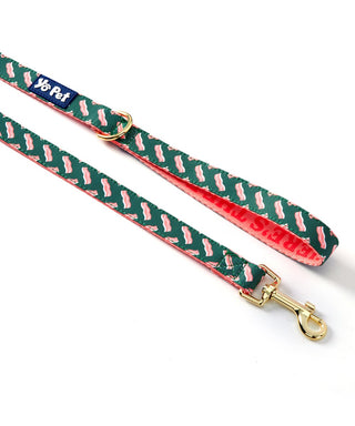 Treat Tester Reversible Pet Leash