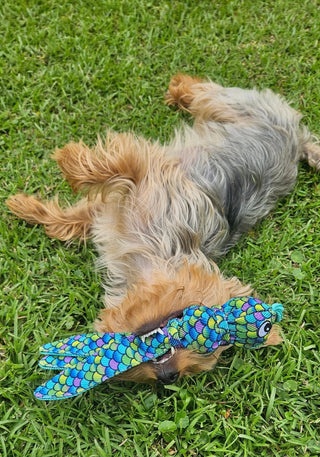 Kong® Wubba Finz Dog Tug Toy Blue Small