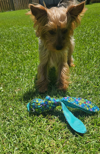 Kong® Wubba Finz Dog Tug Toy Blue Small