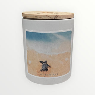 Baby Turtles Scented Candle - Ocean Air