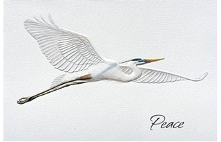 Blue Heron Boxed Cards Set of 16