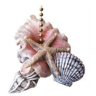 Shells Fan Pull