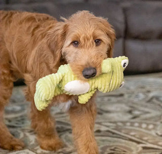 Tuff & Cuddly Frog Plush Dog Toy