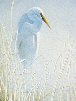 Snowy Egret Boxed Card Set of 9