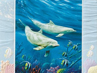 Dolphin Duo Boxed Cards Set of 9