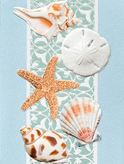 Serene Shells Boxed Card Set of 9