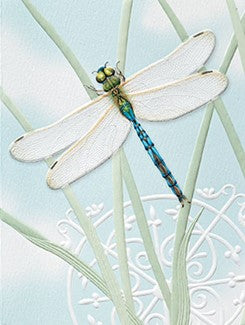 Dragonfly Jewel Boxed Card Set of 9