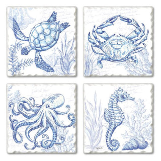 Coastal Sketch Coaster Set