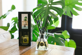 Island Time Petite Reed Diffuser