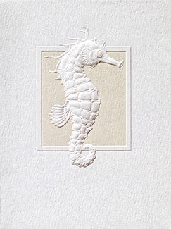 Seahorse Saunter Blank Boxed Card Set of 9