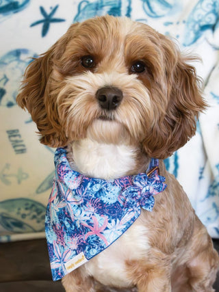 Pet Me Bandana