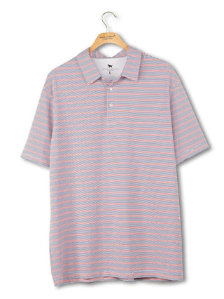 Seeing Double Men's Striped Polo