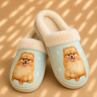 Pomeranian Slippers