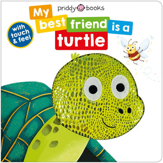 My Best Friend Is A Turtle: