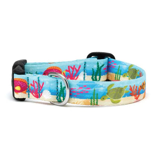 Up Country Oceanic Pet Collar