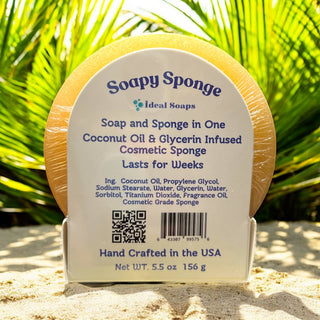 Soapy Sponge Turtle Crawl