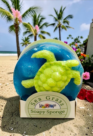 Soapy Sponge Turtle Crawl
