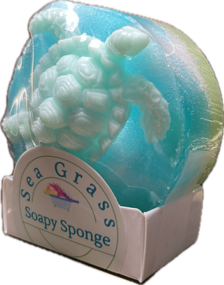 Soapy Sponge Turtle Crawl