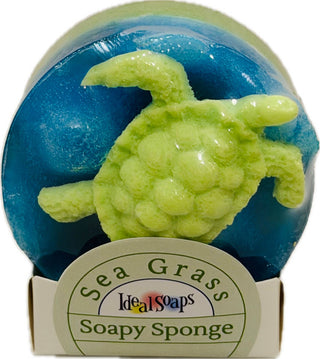 Soapy Sponge Turtle Crawl