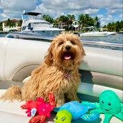 Clean Earth Recycled Plush Toys - 100% Sustainable: Small Pelican