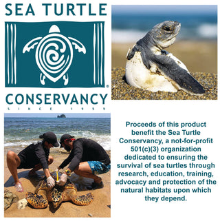 Sea Turtle Hatchling