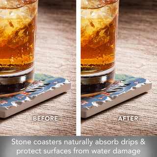 North Carolina Attractions Absorbent Stone Coaster 4 Pack