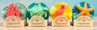 Soapy Sponge Turtle Crawl