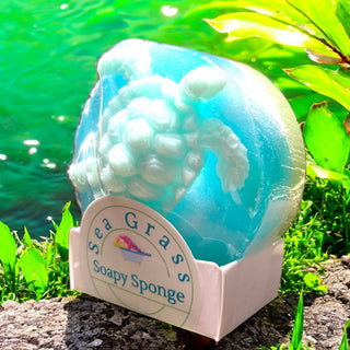 Soapy Sponge Turtle Crawl