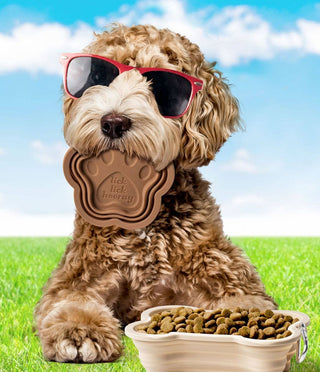 Modern Monkey SWAG Collapsible Doggie Dish