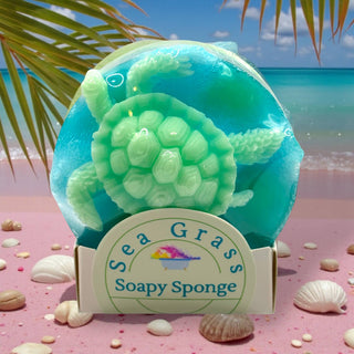 Soapy Sponge Turtle Crawl