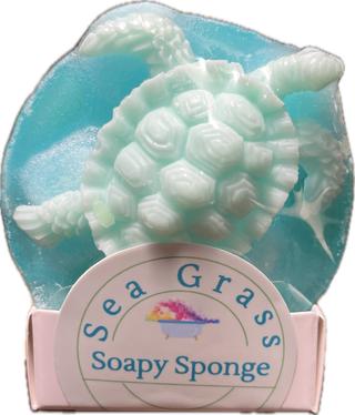 Soapy Sponge Turtle Crawl