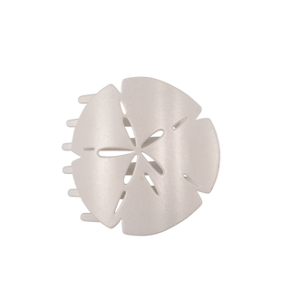 Sand Dollar | Large | Flat Shape Hair Clip