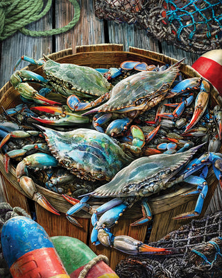 Catch Of The Day Puzzle