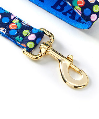 Balls & Bones Reversible Pet Leash