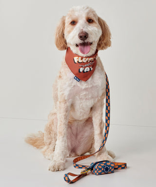 Fluffy Not Fat Reversible Pet Bandana