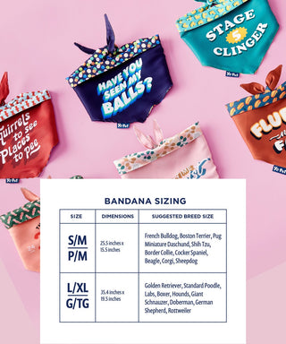 Stage 5 Clinger Reversible Pet Bandana