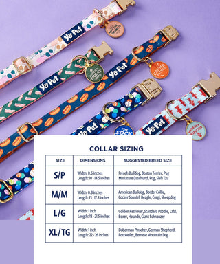 Stage 5 Clinger Pet Collar