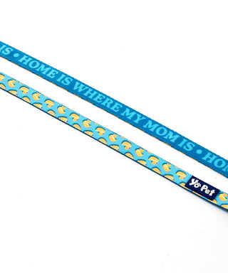 Stage 5 Clinger Pet Collar