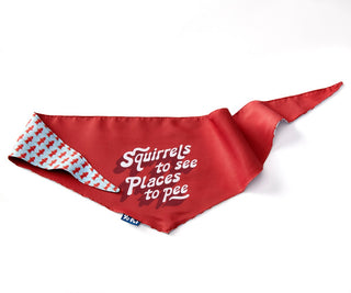 Places to Pee Reversible Pet Bandana