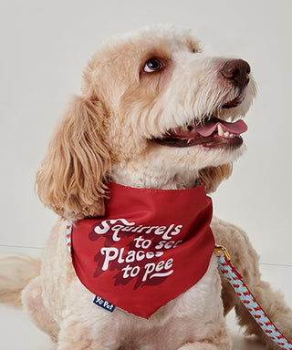 Places to Pee Reversible Pet Bandana