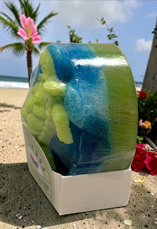 Soapy Sponge Turtle Crawl