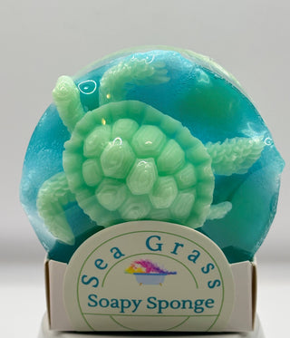 Soapy Sponge Turtle Crawl